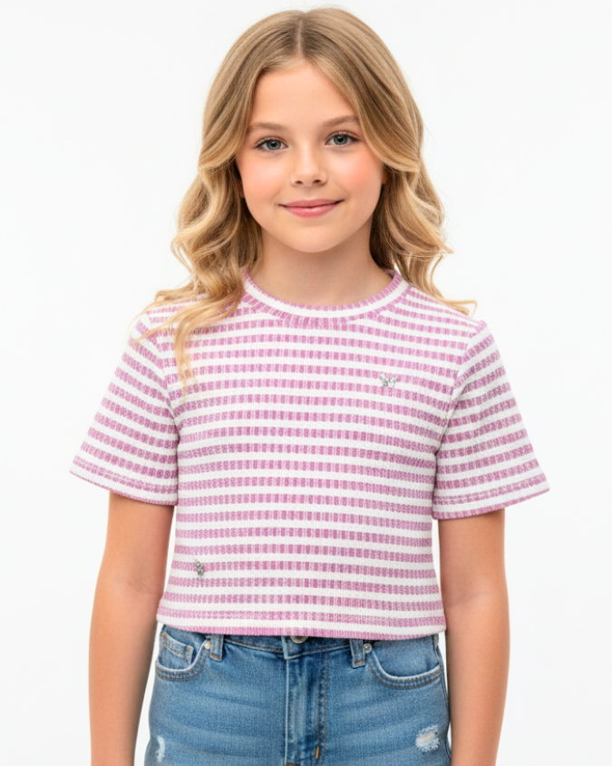 Butterfly Accent Striped Crop Top